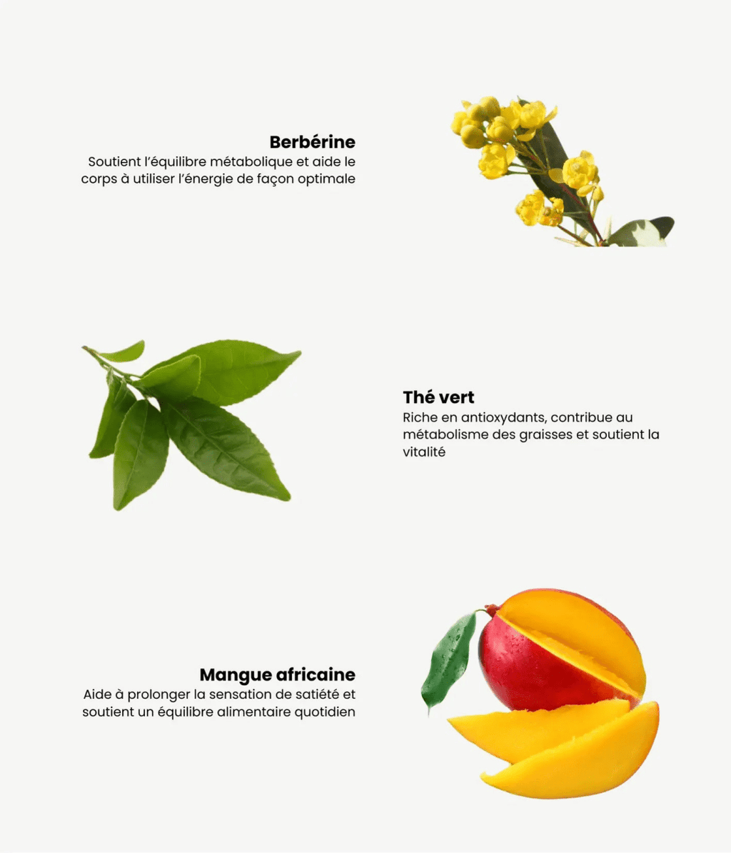 Patch Fit+ - Patchner