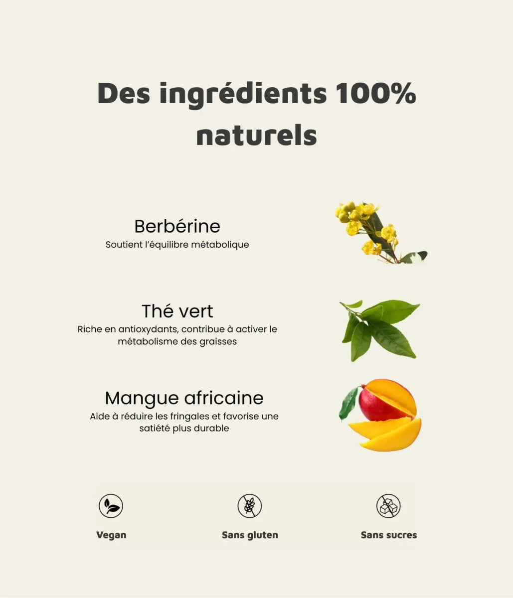 Patch Fit+ - Patchner